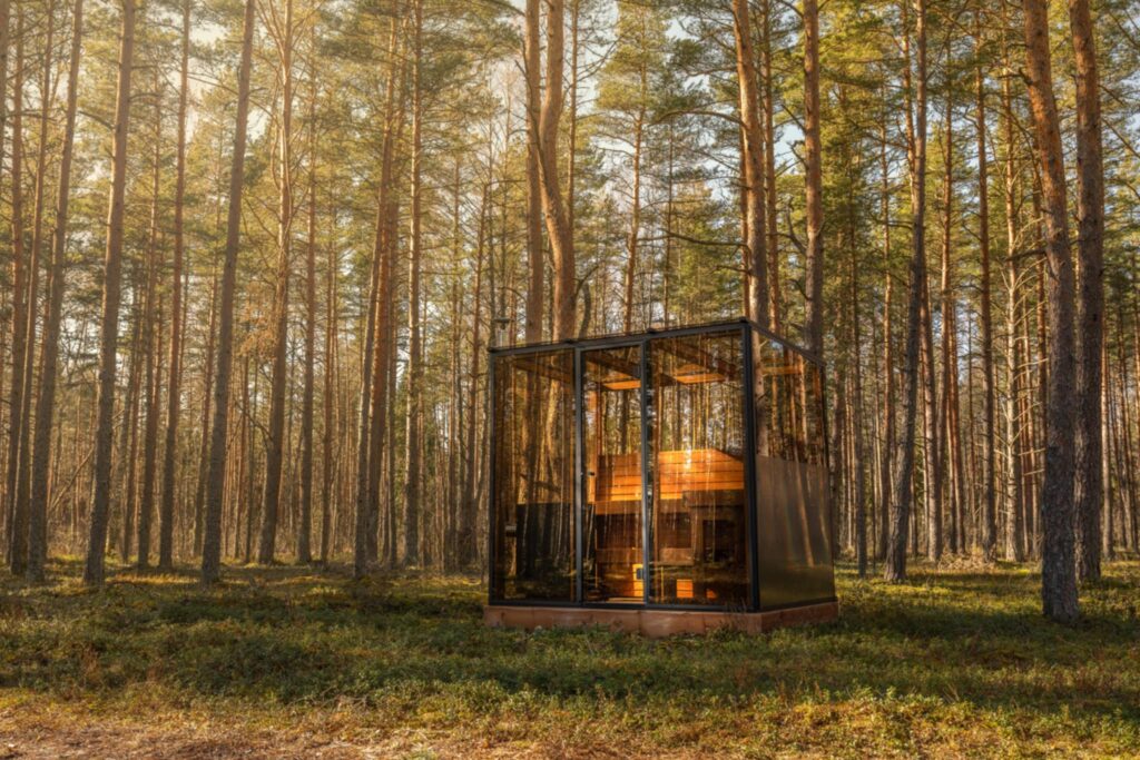 2b3fd1e3 c531 4d93 a8d8 1867dc56cf0d.jpeg