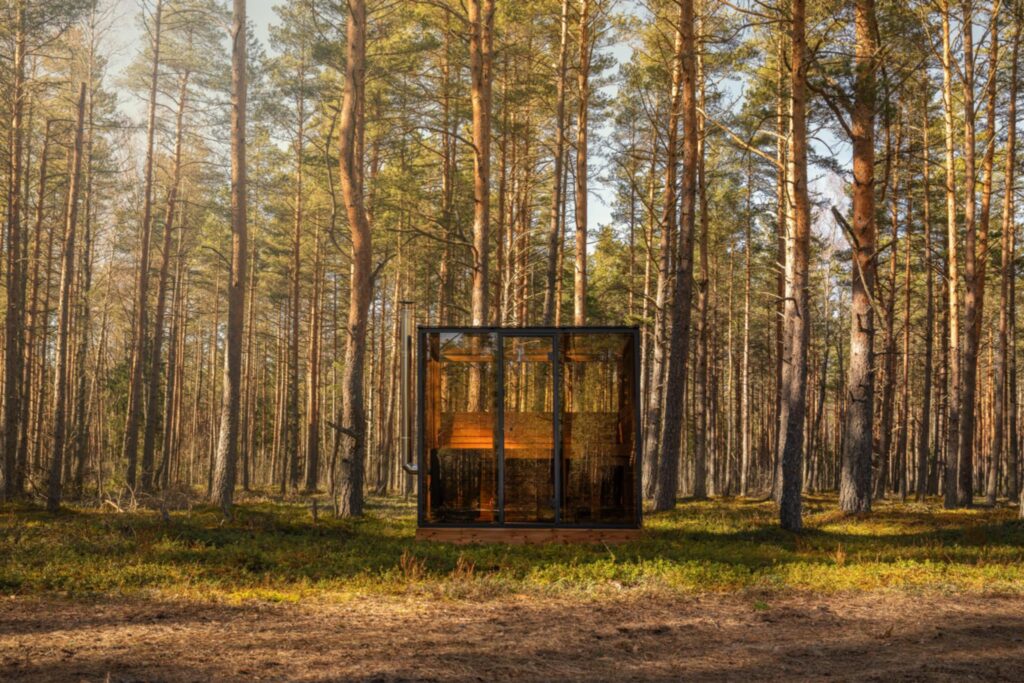 b10ccf4a 50bc 4b92 a3d5 96a995d3f9fb.jpeg