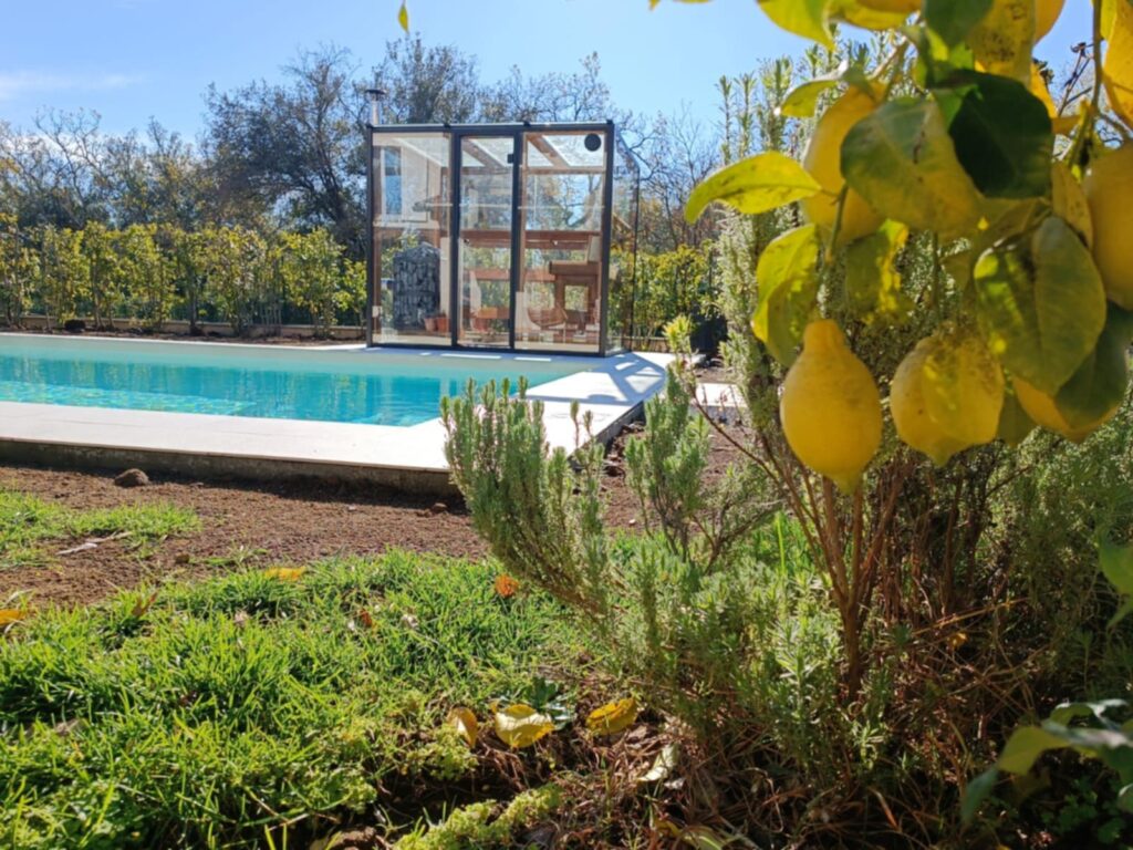 f5cbe361 0bd4 4d61 810b 9908af9c869d.jpeg